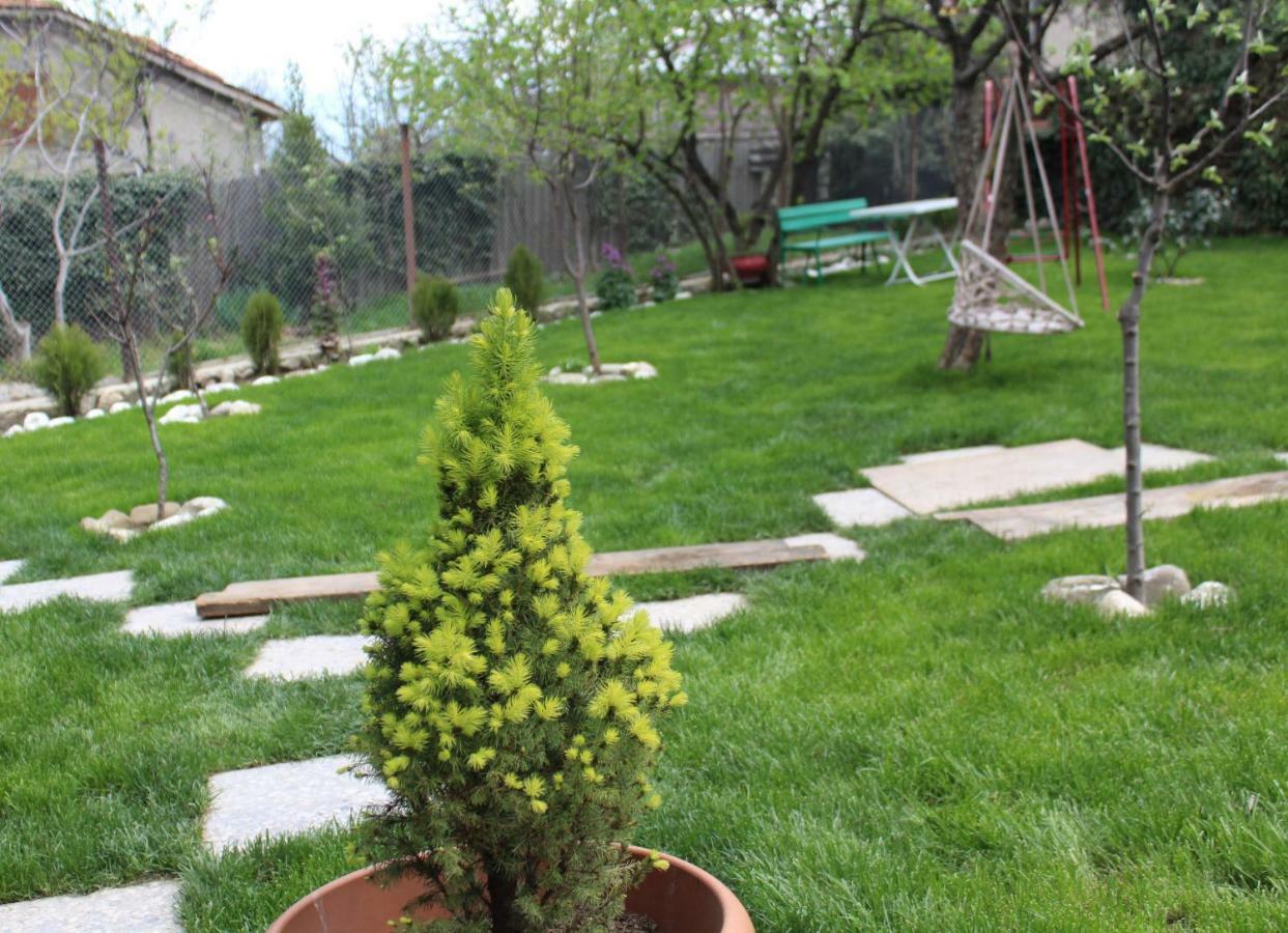 Guest House Poligloti Telavi Exteriör bild